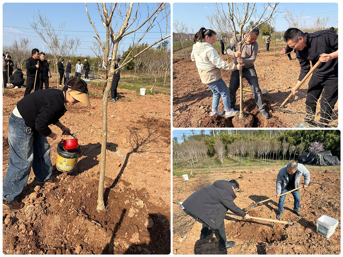 “攜手植樹聯(lián)建情”—城建投公司黨支部開展3月份主題黨日活動(dòng)